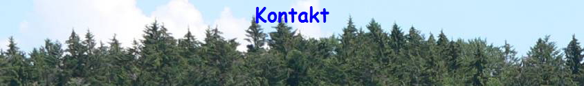 Kontakt